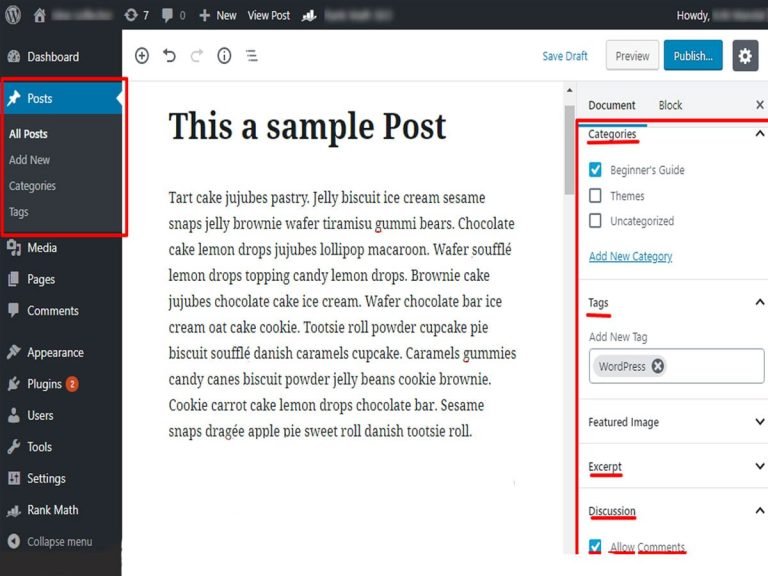 Difference Between Posts Vs Pages In Wordpress