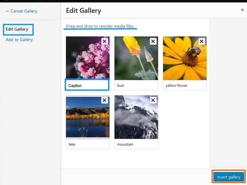 How to Create an Image Gallery in WordPress-Beginner’s Guide